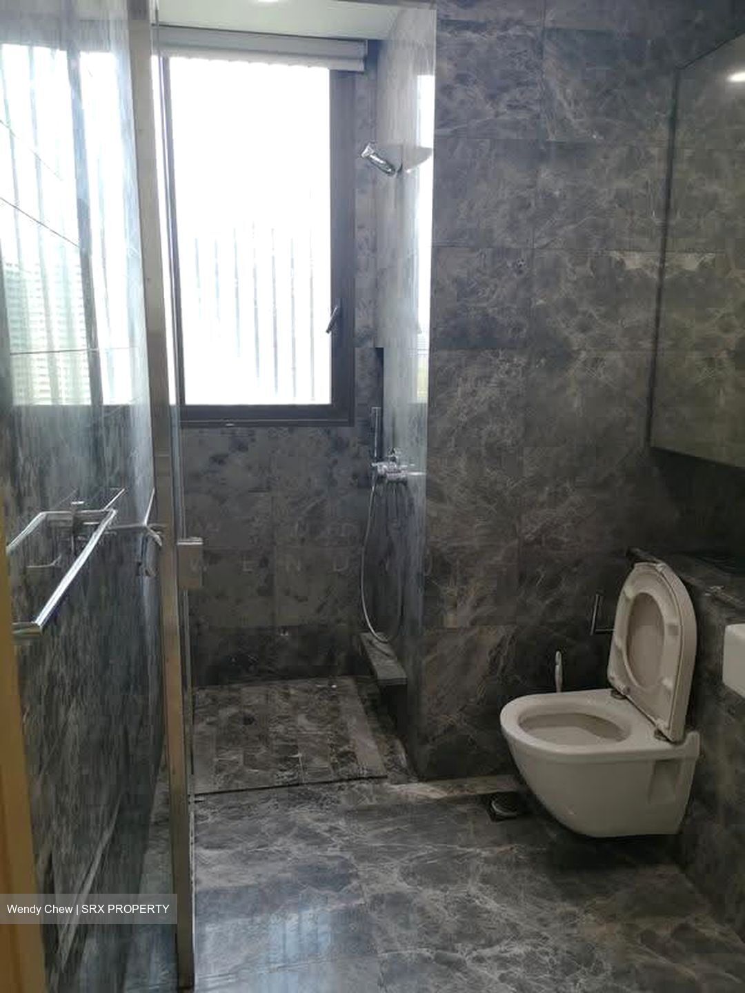 Skyline Residences (D4), Condominium #609499241